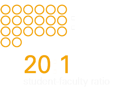 20:1 student-faculty ratio