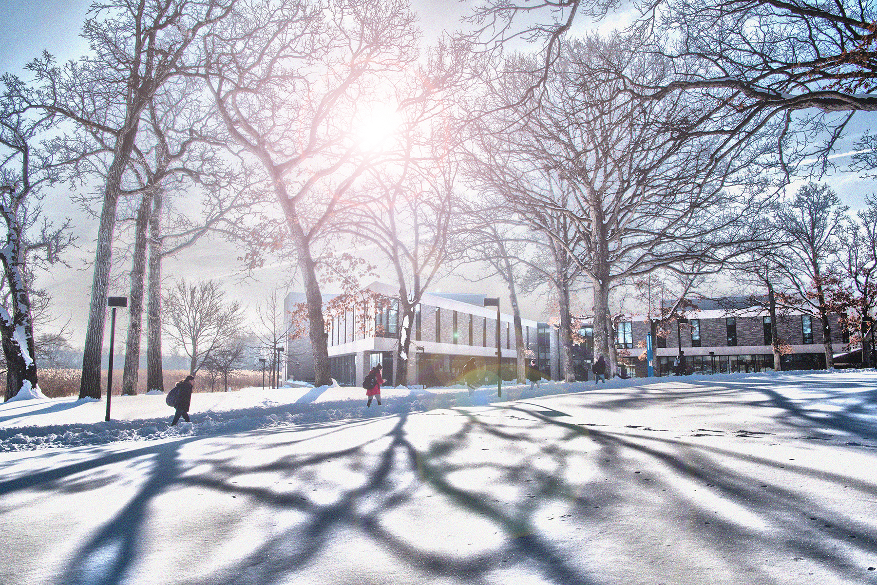 campus in winter