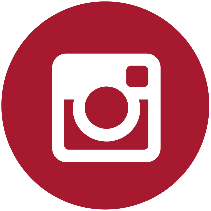 Instagram Icon