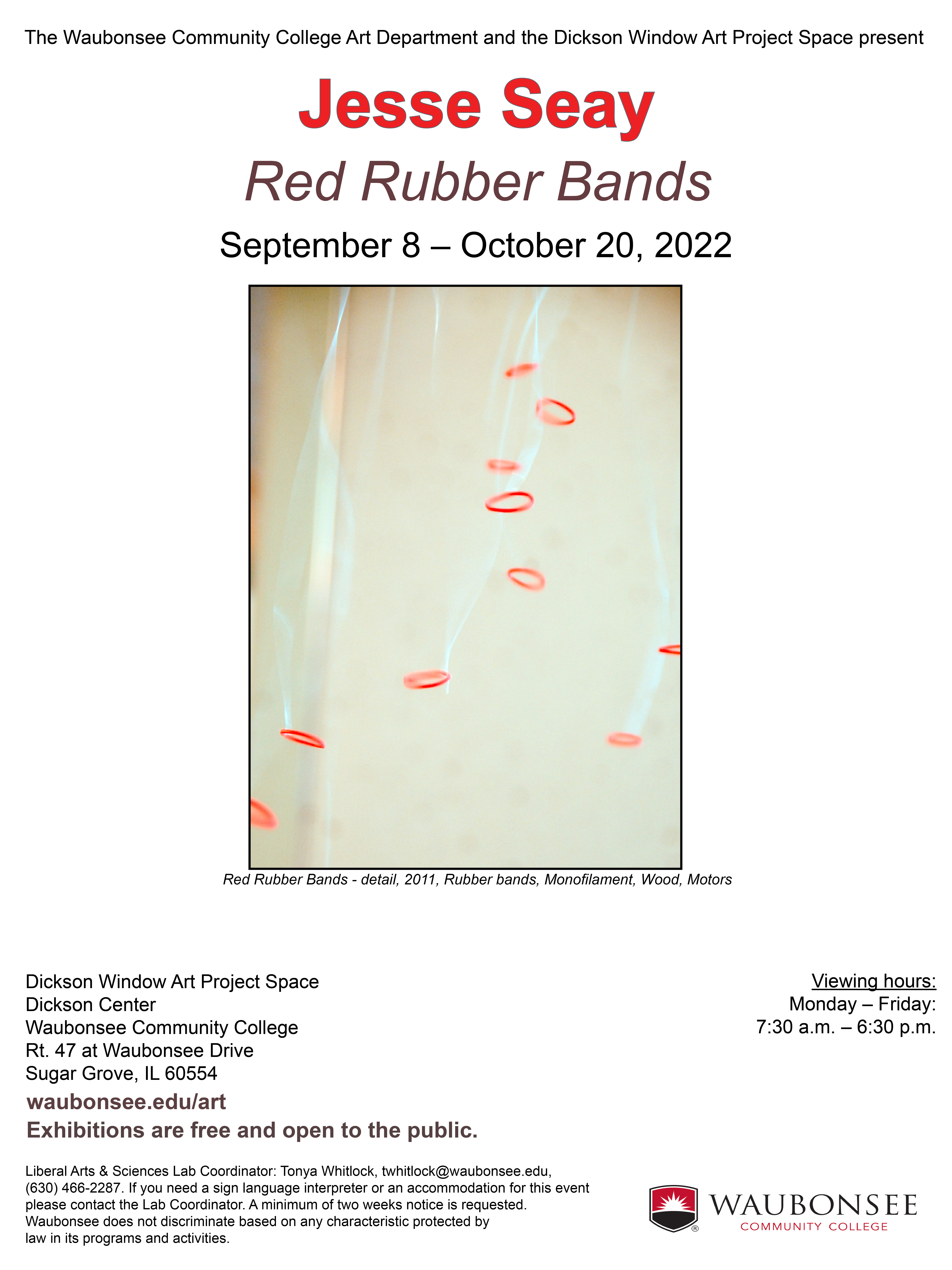 Jesse Seay: Red Rubber Bands