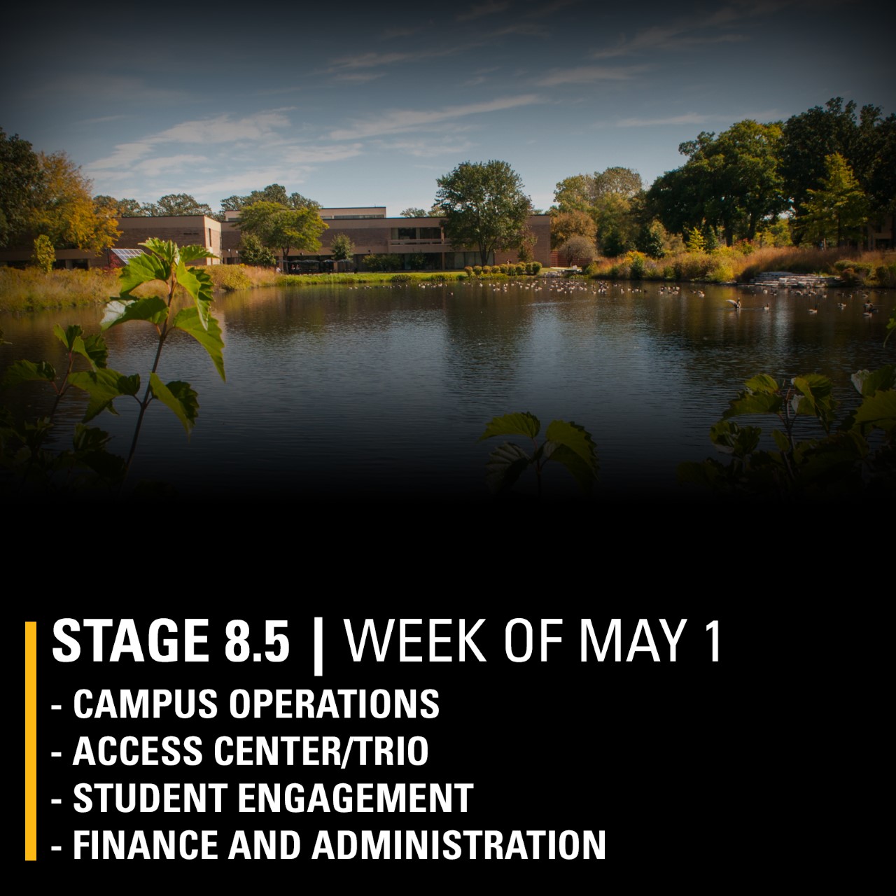 Stage 8.5 Week of May 1