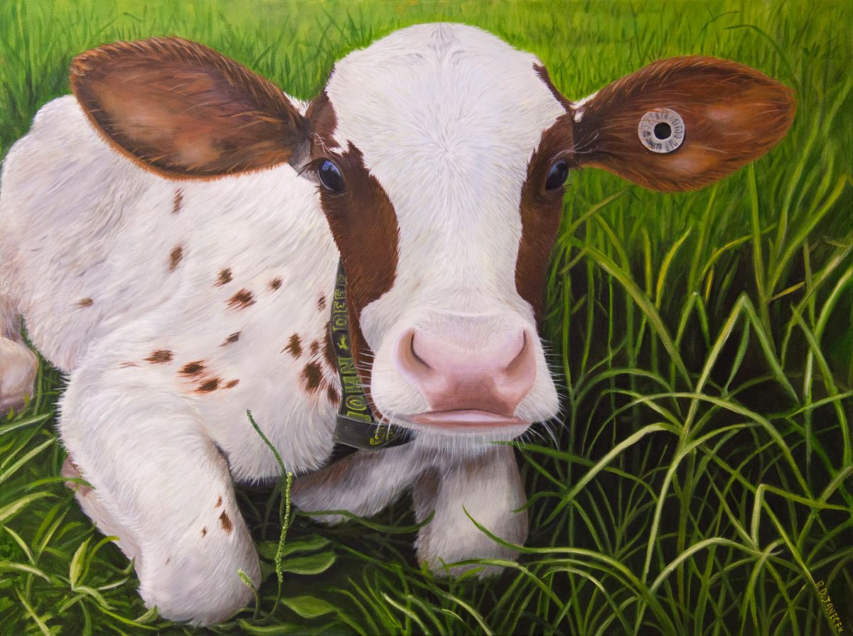 Patricia D. Janecek, "Baby Calf" - 2015, Oil Painting, 30 x 40 in., Sugar Grove Campus, Academic and Professional Center, conference room 245