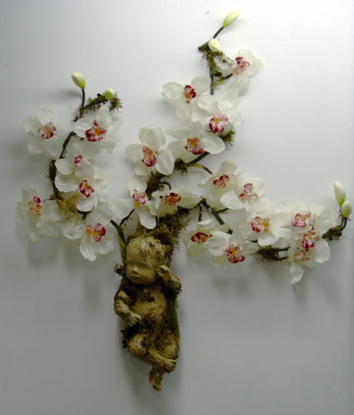 2006, Mixed Media, 30 x 27 x 5 1/2 in.
