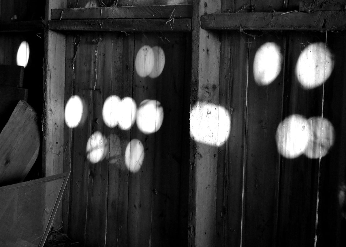 2012, Archival Inkjet Print, 6 x 8 1/4 in.