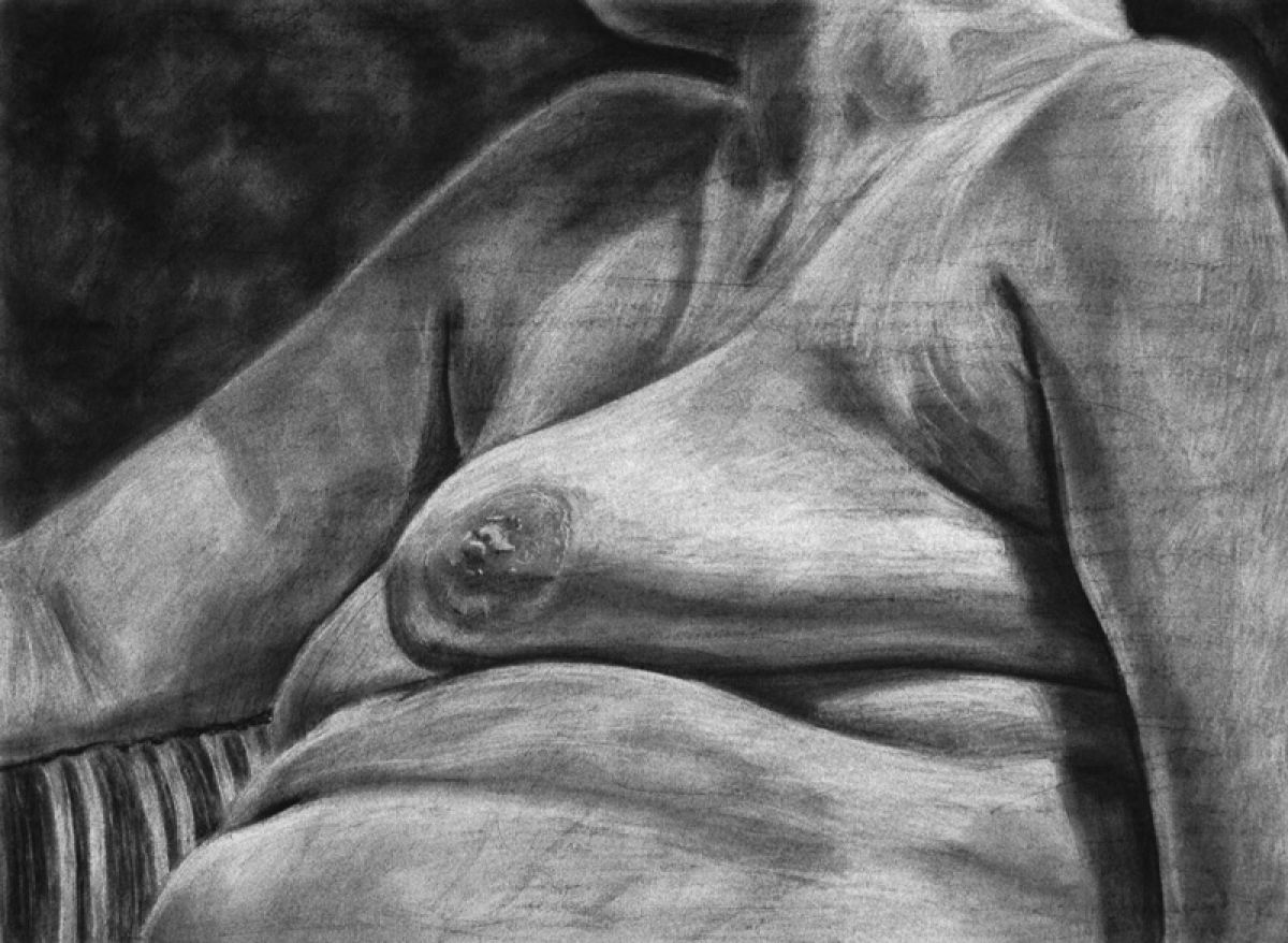 2013, Charcoal, 16 1/2 x 22 1/2 in.