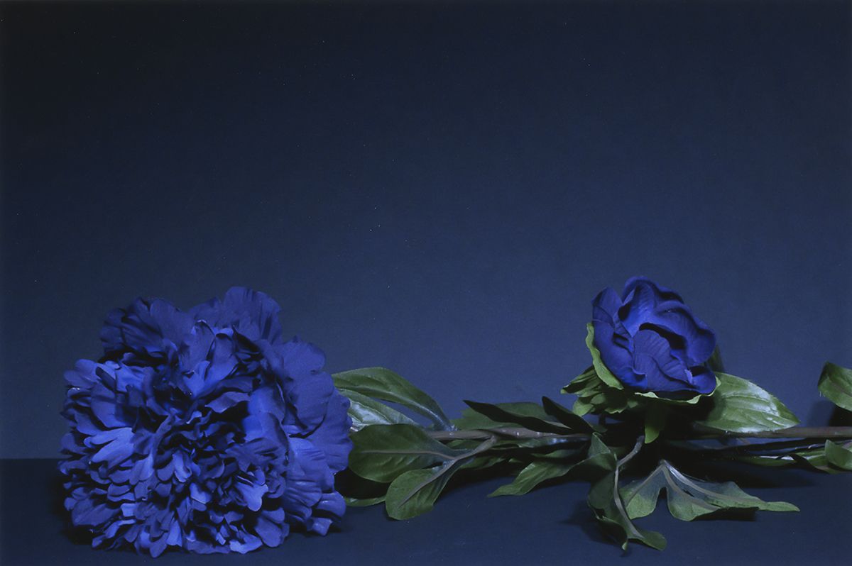 2018, Archival inkjet print, 8 ½ x 11 in.