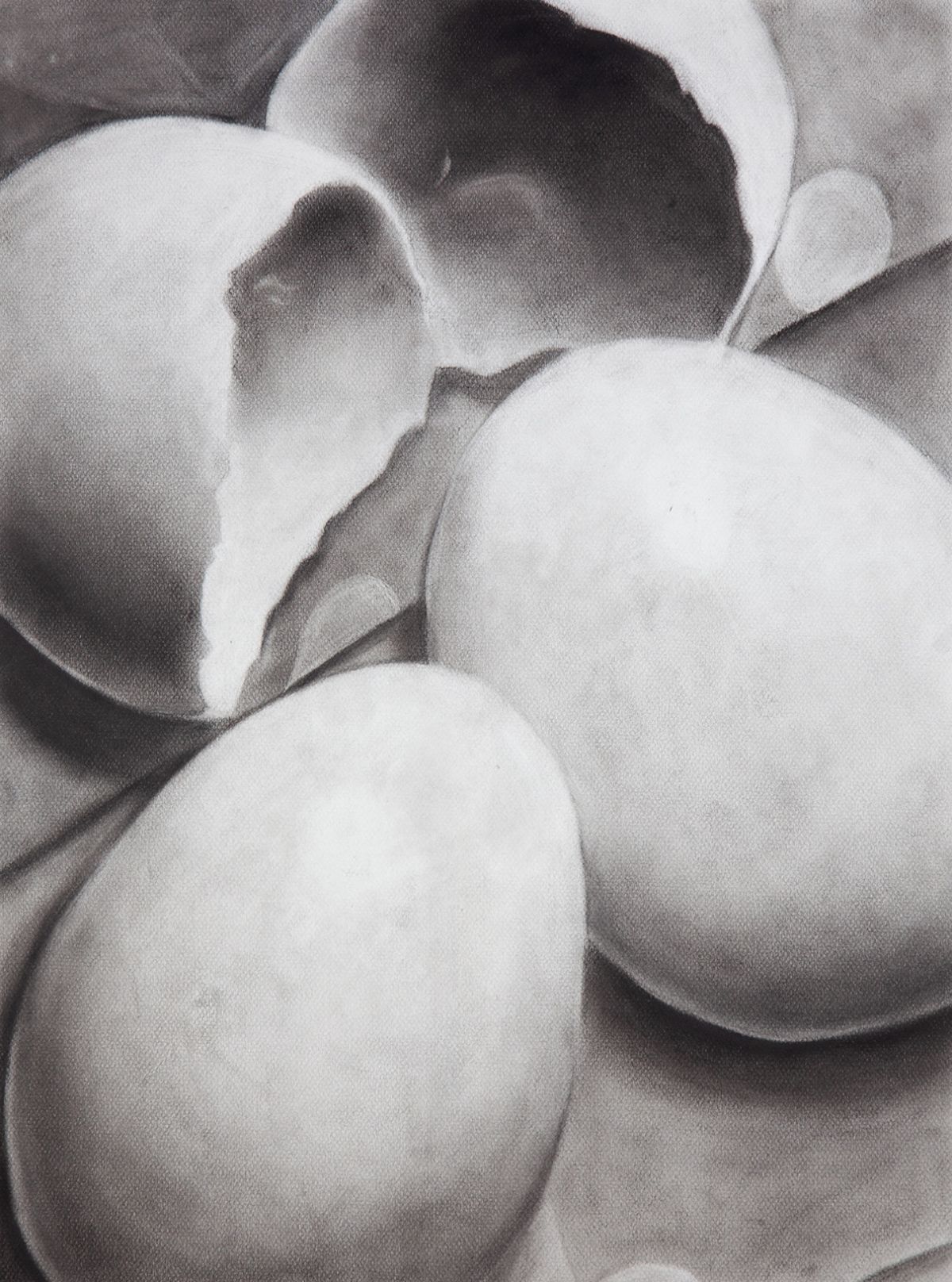 2019, Charcoal on paper, 24 x 18 in.