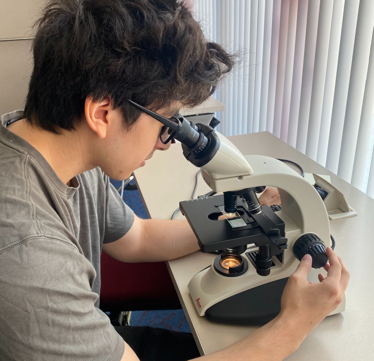 Student using microscope