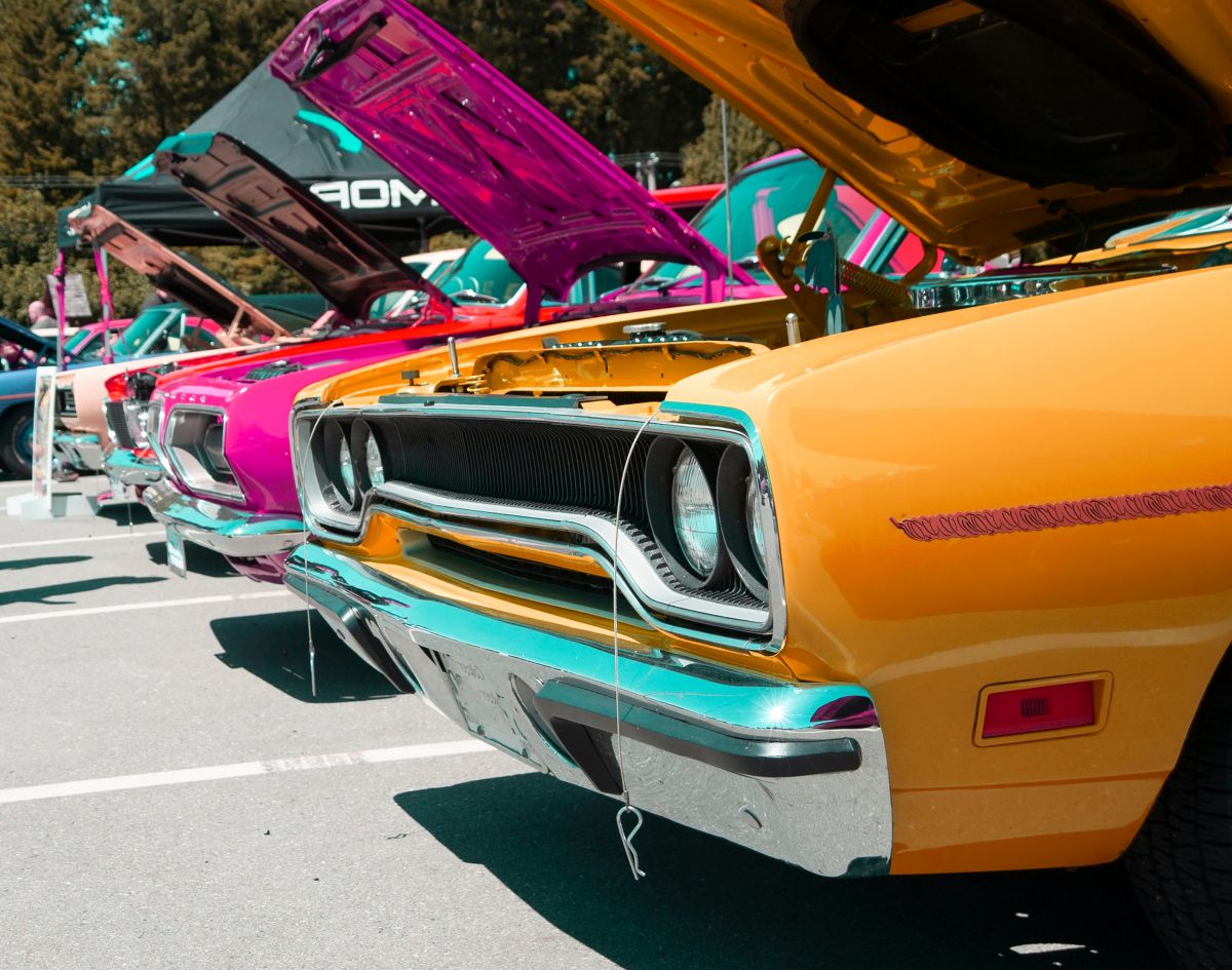 Cars with their hoods open, lined up in a car show