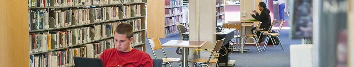 Students in the Todd Library in Sugar Grove