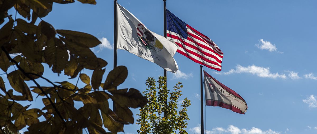 Sugar Grove Flags summer L