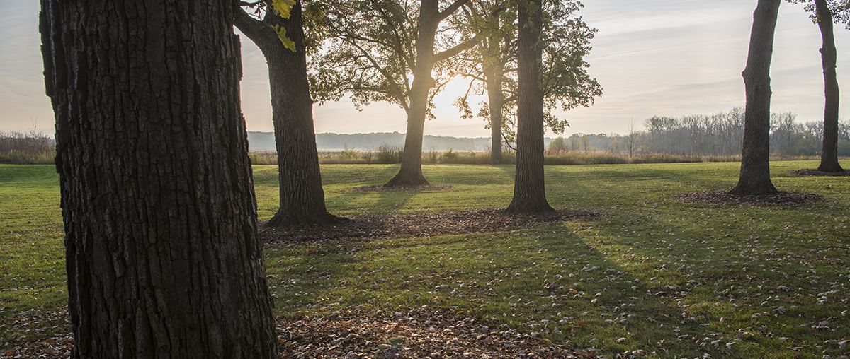 Sugar Grove Exterior Sun Trees