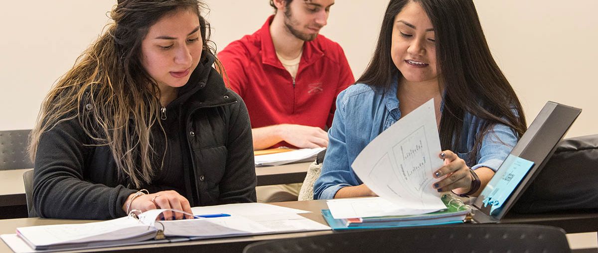 Two students studying