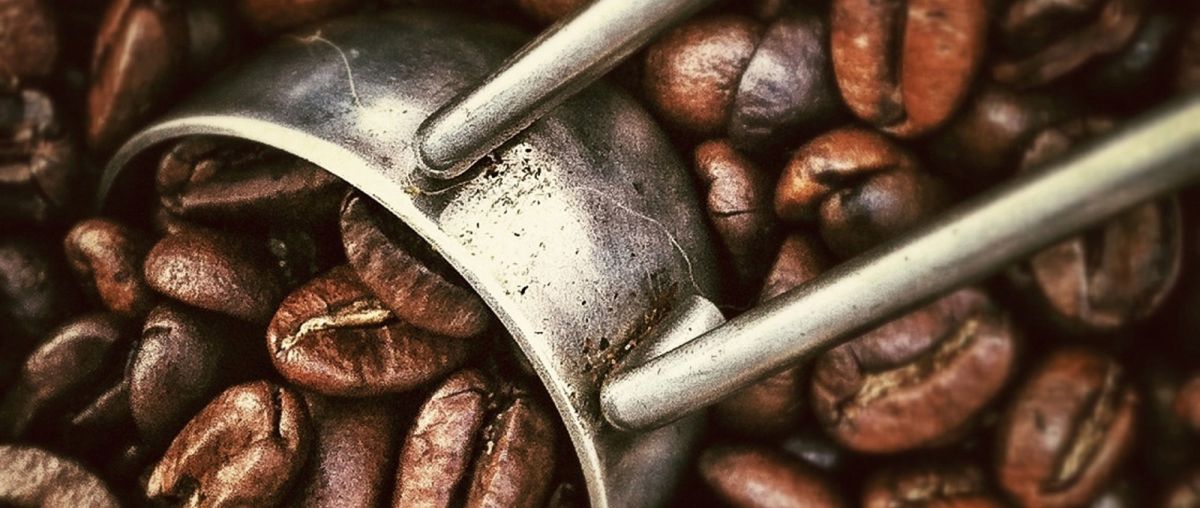 coffee beans and a scoop