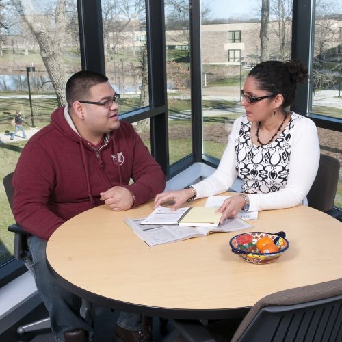 Student talking to Counselor