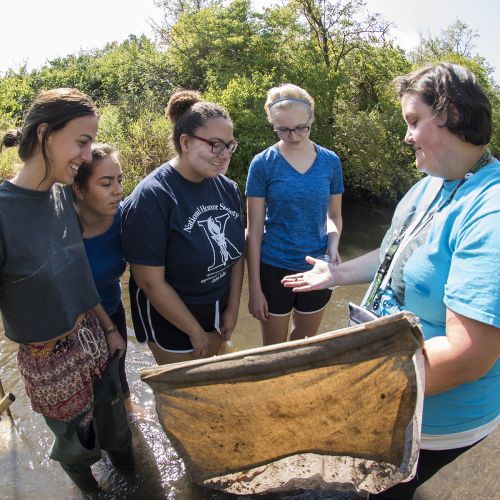 Students Biology standing in pond with fishing net in summer S