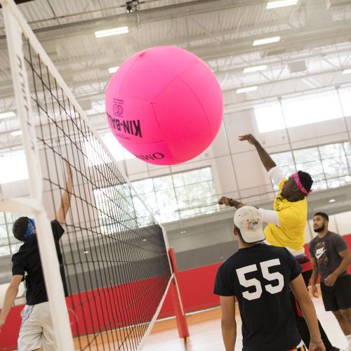 Big Pink Volleyball