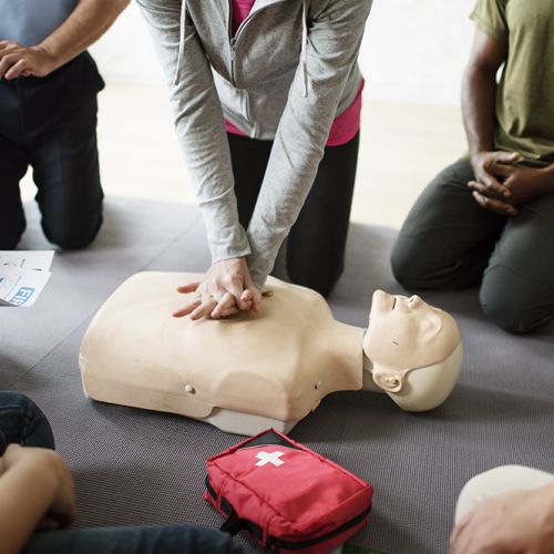 CPR Dummy