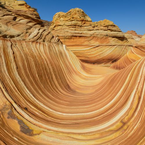 Arizona Wave - rock formation in Pariah Canyon