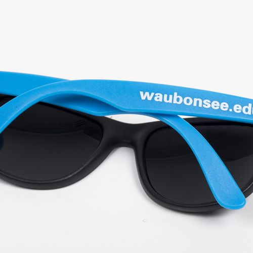 pair of sunglasses with the Waubonsee Web address on them