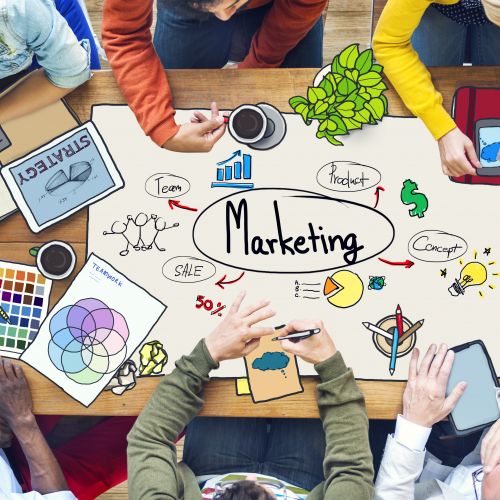 Group of people working on a marketing project