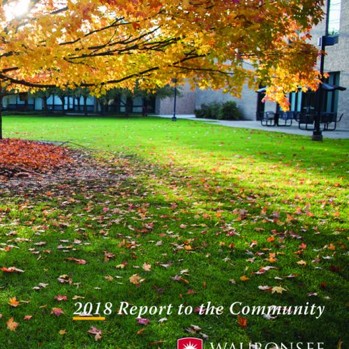 Cover of Annual Report to the Community