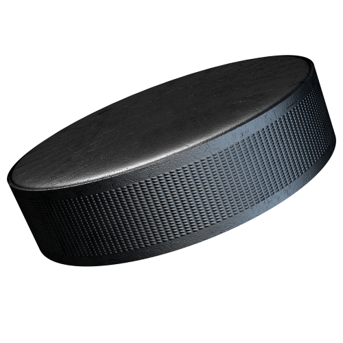 hockey puck