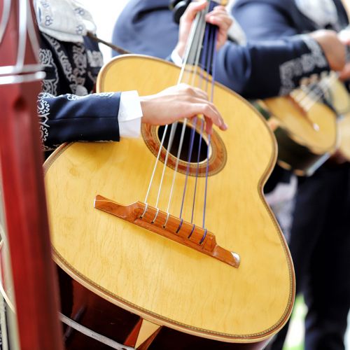Latino musicians