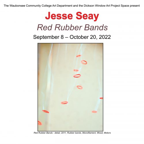 Jesse Seay: Red Rubber Bands