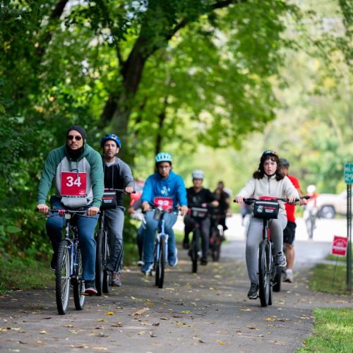 several bicyclists riding on a path going through trees