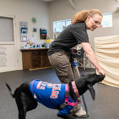 photo of dog trainer Angela Murray