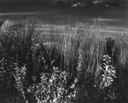 Julian Heidrich Infared 1